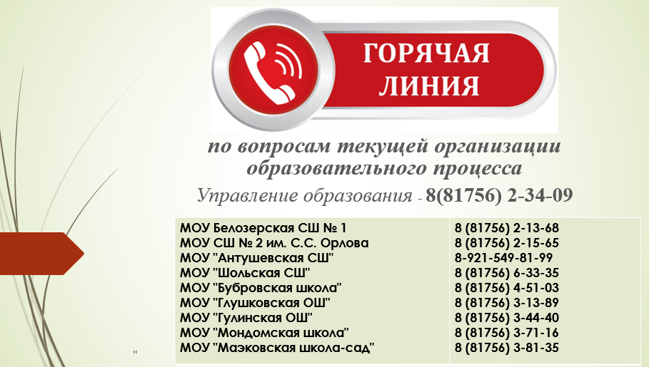 горячая линия организация образовательного процесса